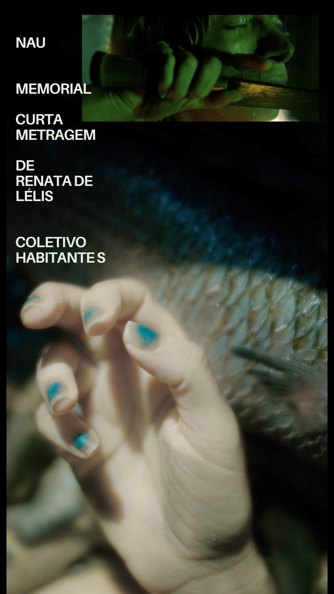 1_nau_CINE_ESQUEMA_NOVO