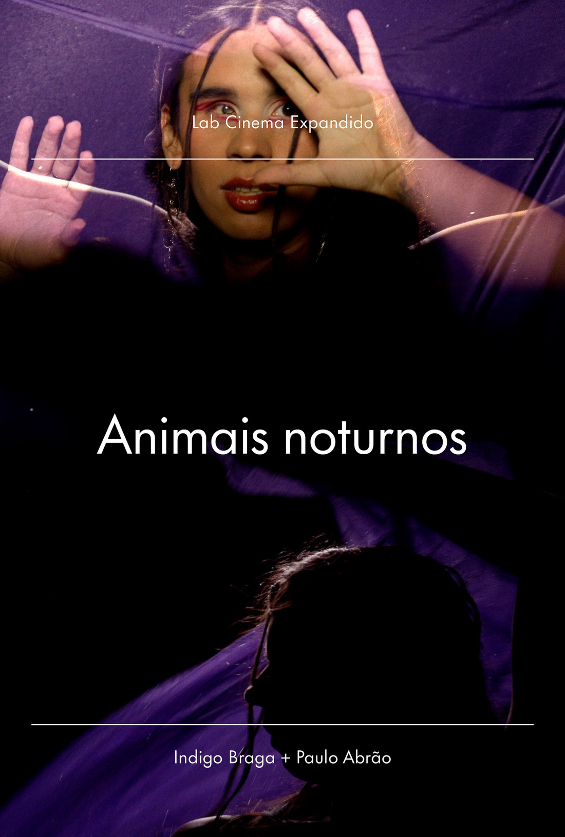 animaisnoturnos_cine_esquema_novo_00