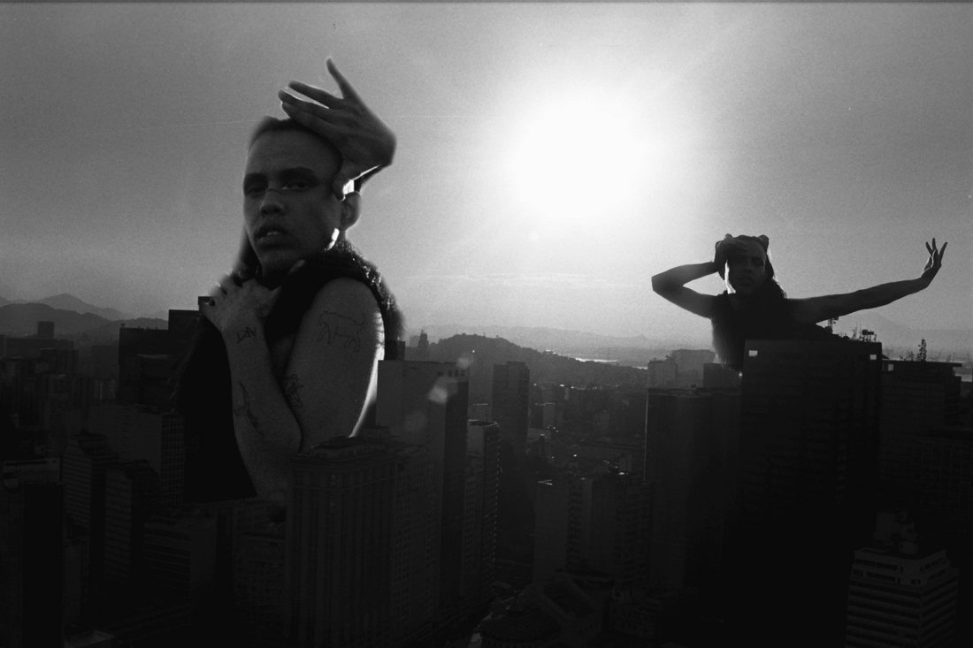 animaisnoturnos_cine_esquema_novo_03