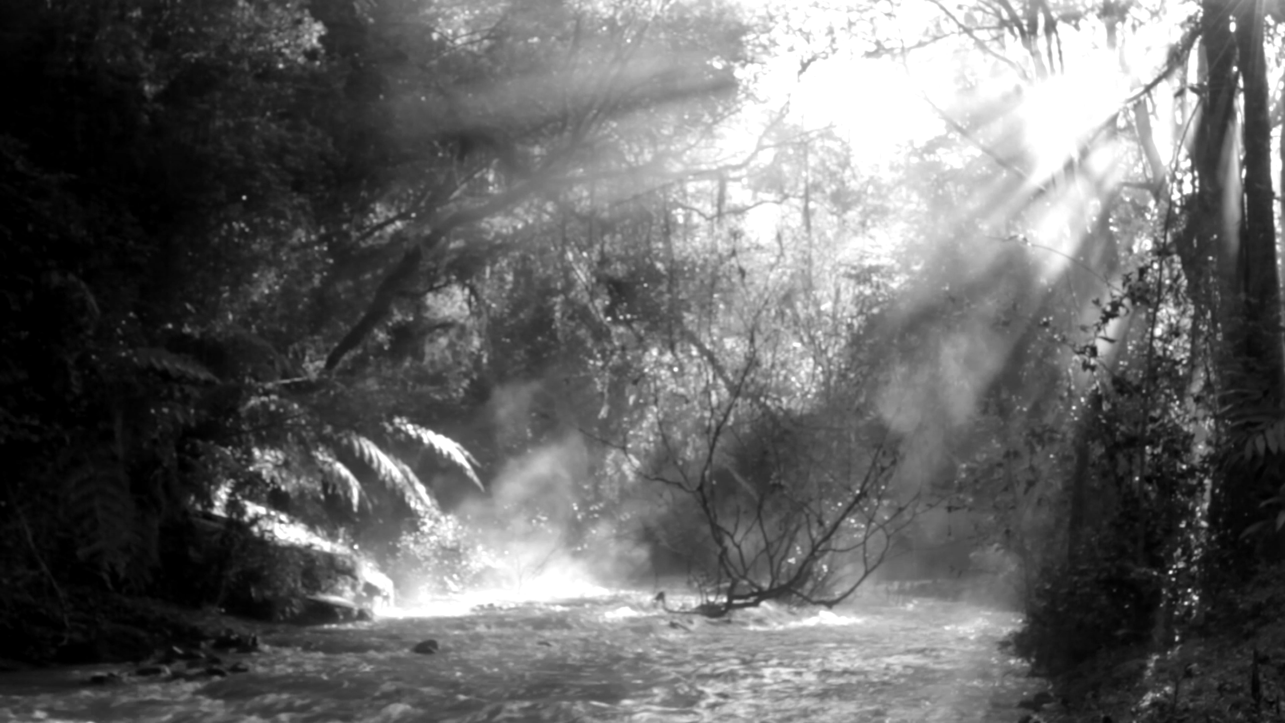 o-lugar-por-onde-a-agua-corre-cine_esquema_novo_fotograma1 – camila leichter